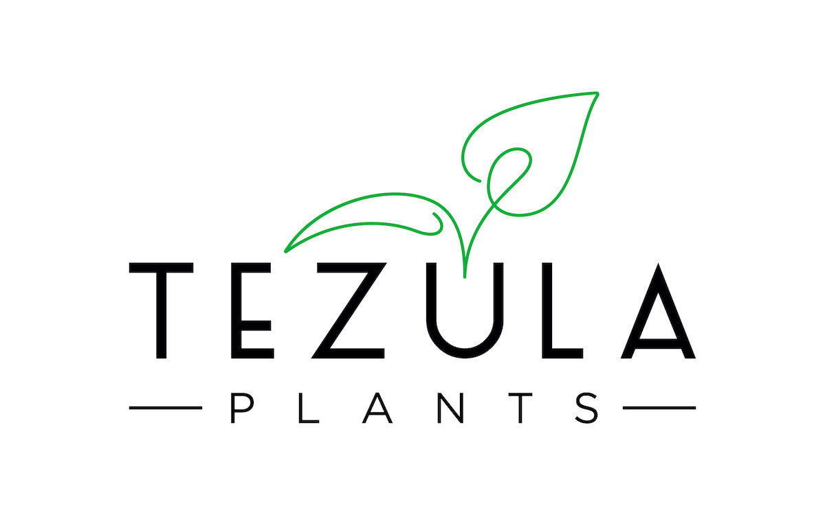 Tezula Plants