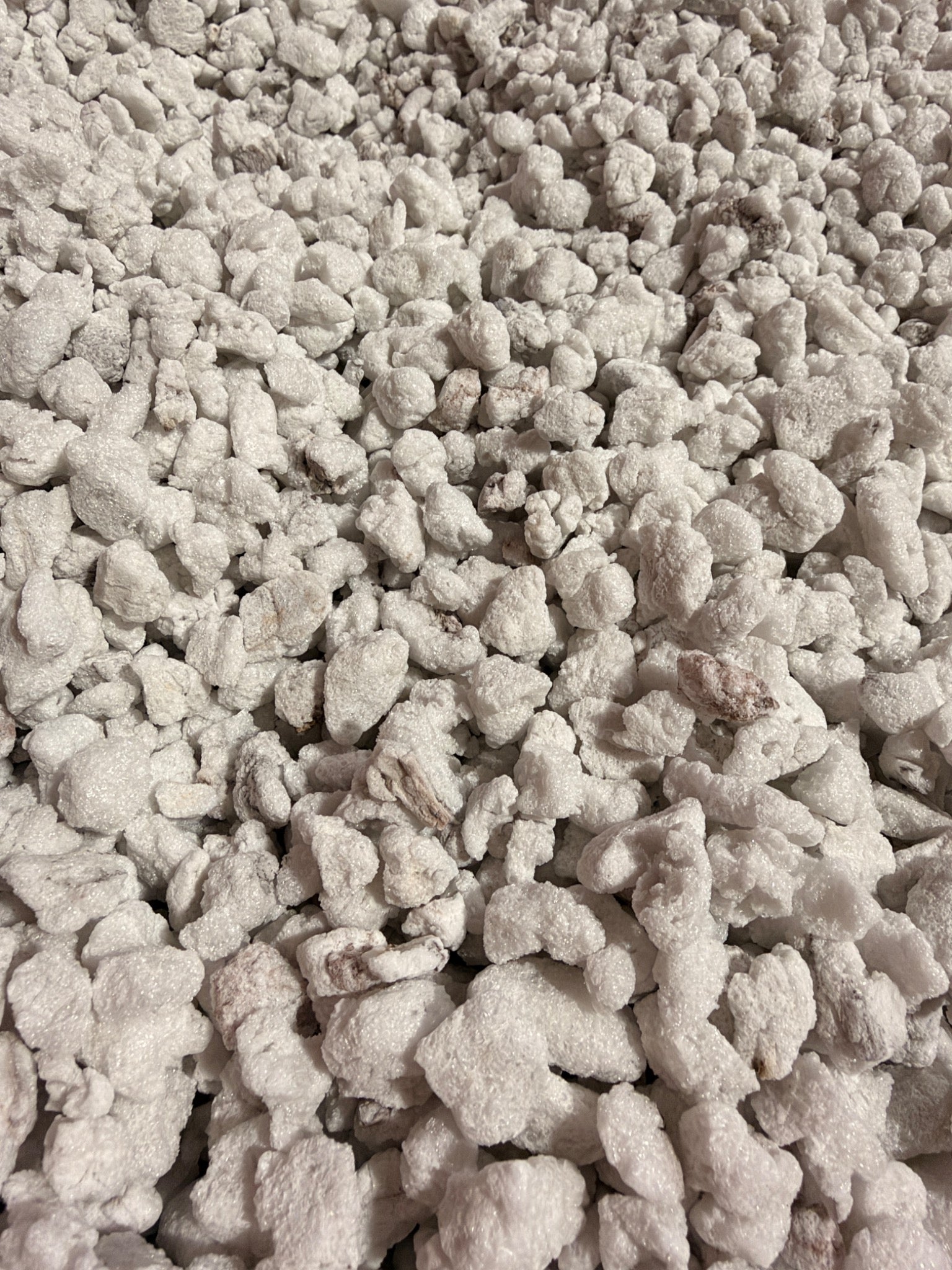 Close-up of chunky white perlite growing media