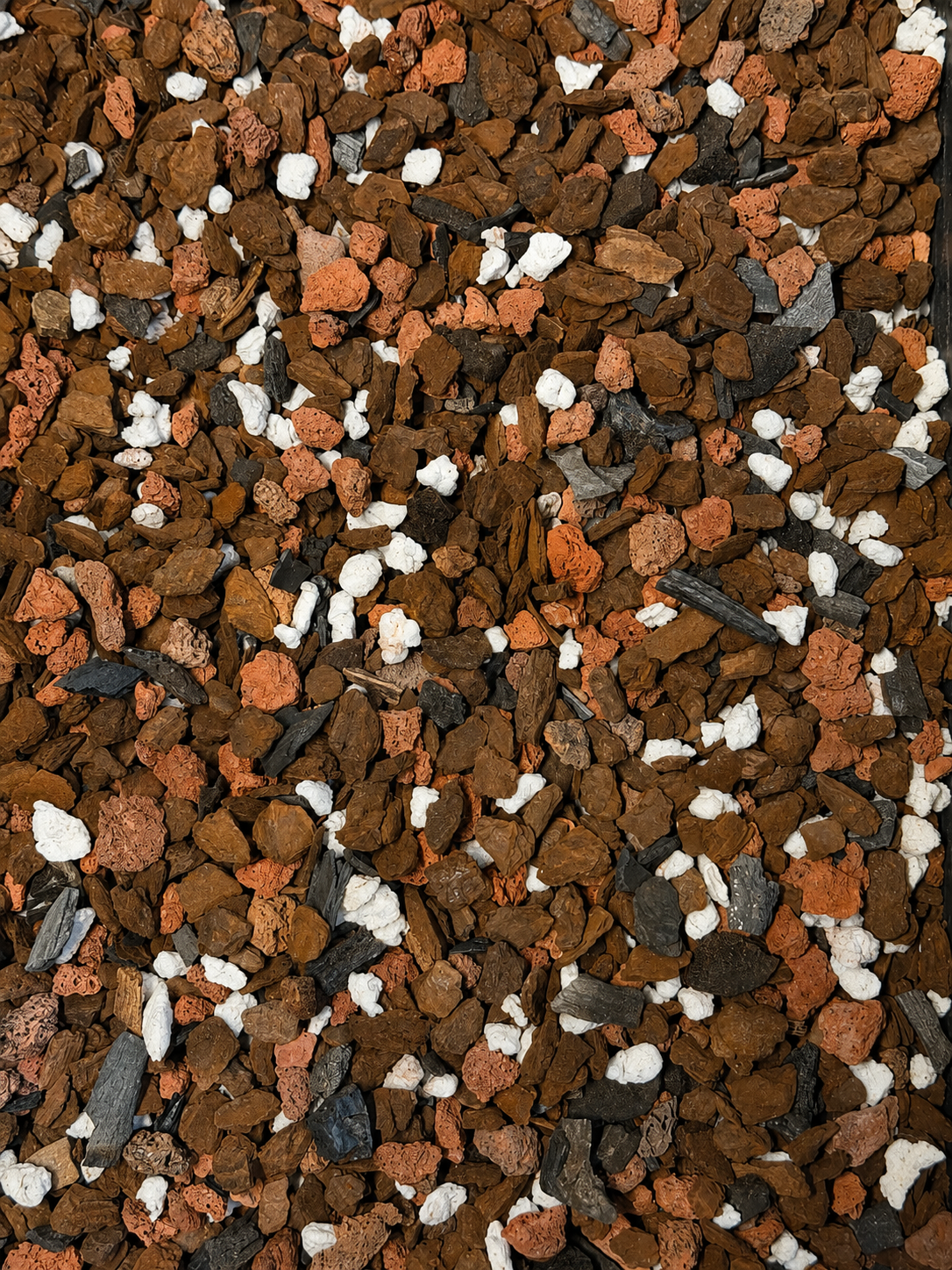Close-up photograph of Aroid Mixes substrate