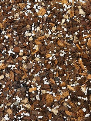 Hoya Potting Mix: The Perfect Balance of Air & Moisture for Hoyas, Epiphytic Plants. 100% Natural and Peat Free (Mix #60)