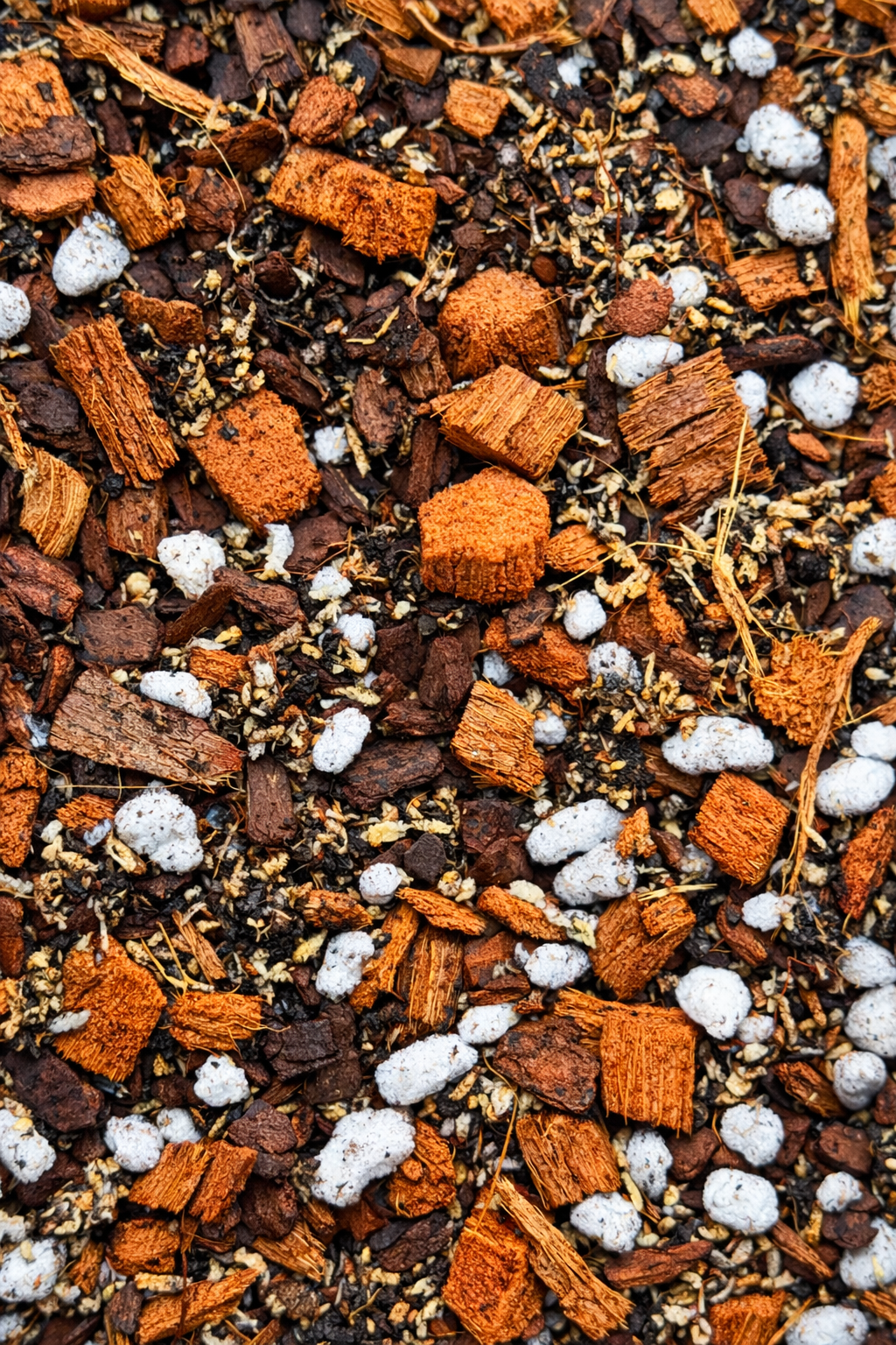 Epiphytic Orchid Mix #1 - (Coco Husk, Orchiata, Moss Petals, Perlite & Biochar) - high-air, fast-draining, moisture-buffered epiphytic mix