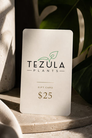 Tezula Plants Gift Cards