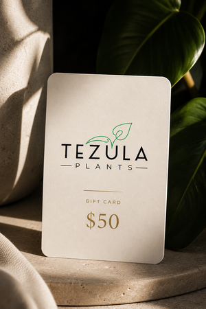 Tezula Plants Gift Cards