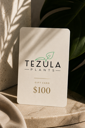 Tezula Plants Gift Cards