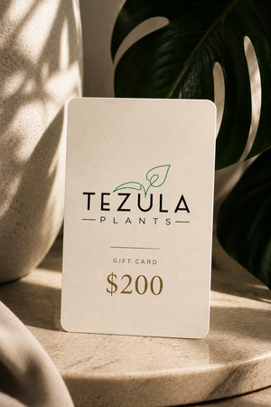 Tezula Plants Gift Cards