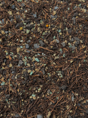 Lechuza Pon and Tree Fern Mix #9 (Tree Fern, Lechuza Blackstone Pon) (Lizzie's Mix)