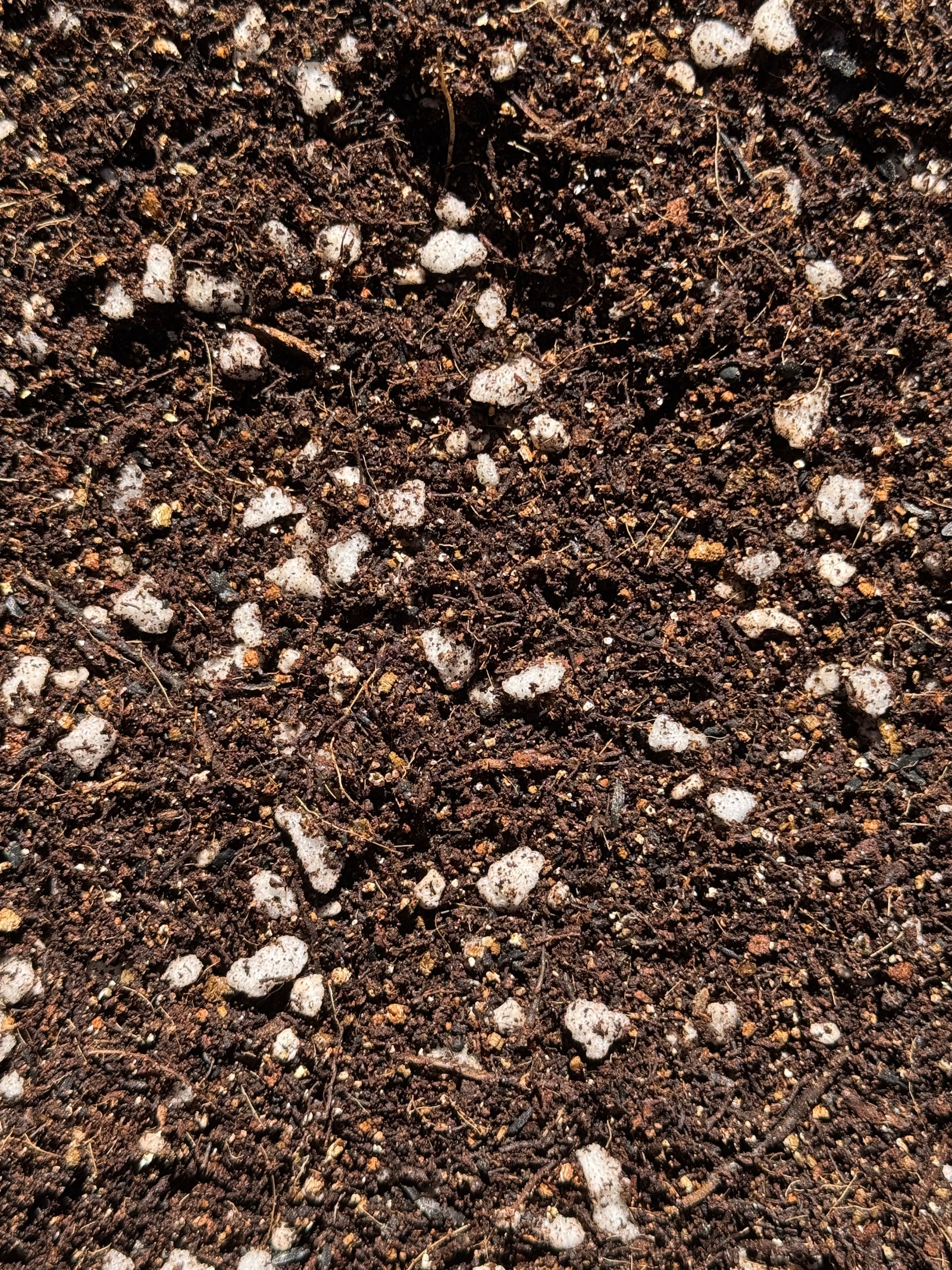 African Violet (Gesneriad) Mix #100 - Peat Free (Tree Fern, Coco Coir, Perlite, Vermiculite, Worm Castings, Biochar)