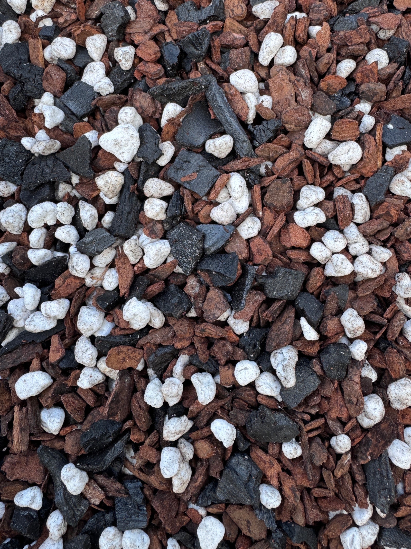 Orchid Potting Mix - Orchiata, Perlite & Hardwood Charcoal - 4 Particle Sizes Available (Mix #116)