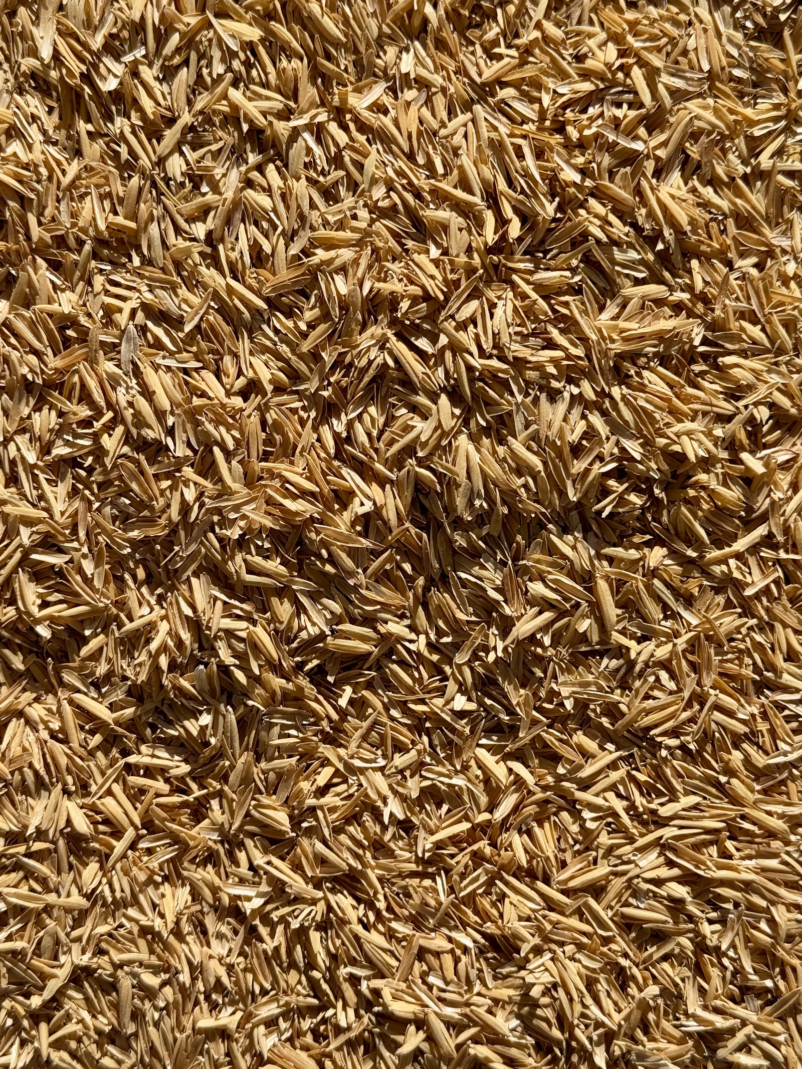 Rice Hulls - Premium Parboiled | For Soil Mixes, Aeration & Drainage | Silica-Rich, All Natural, Perlite Alternative