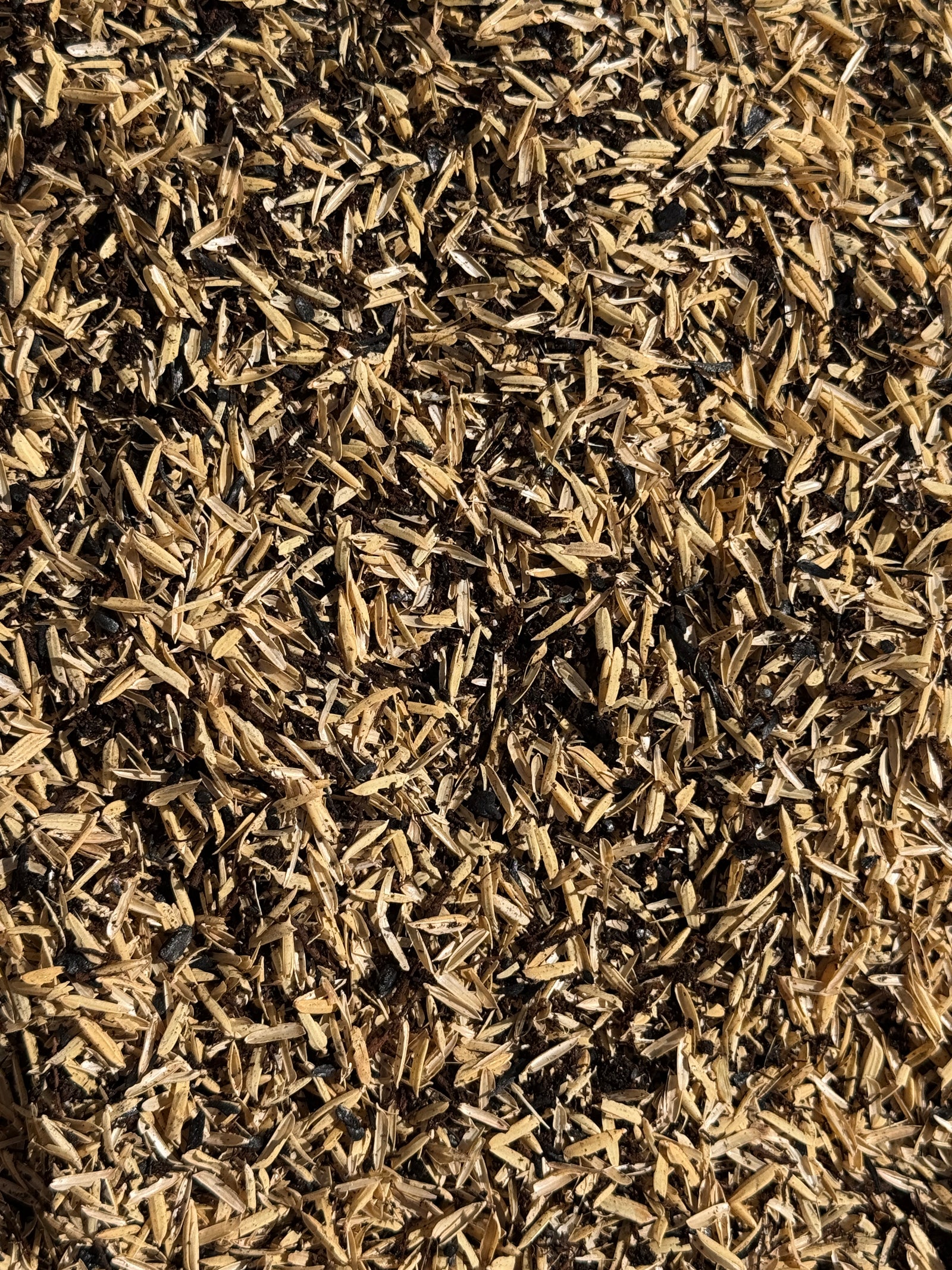 Aroid Mix (Indonesia Blend) - High-Silica Airy Potting Substrate with Rice Hulls, Tree Fern & Biochar. Excellent for Hoya too (#117)