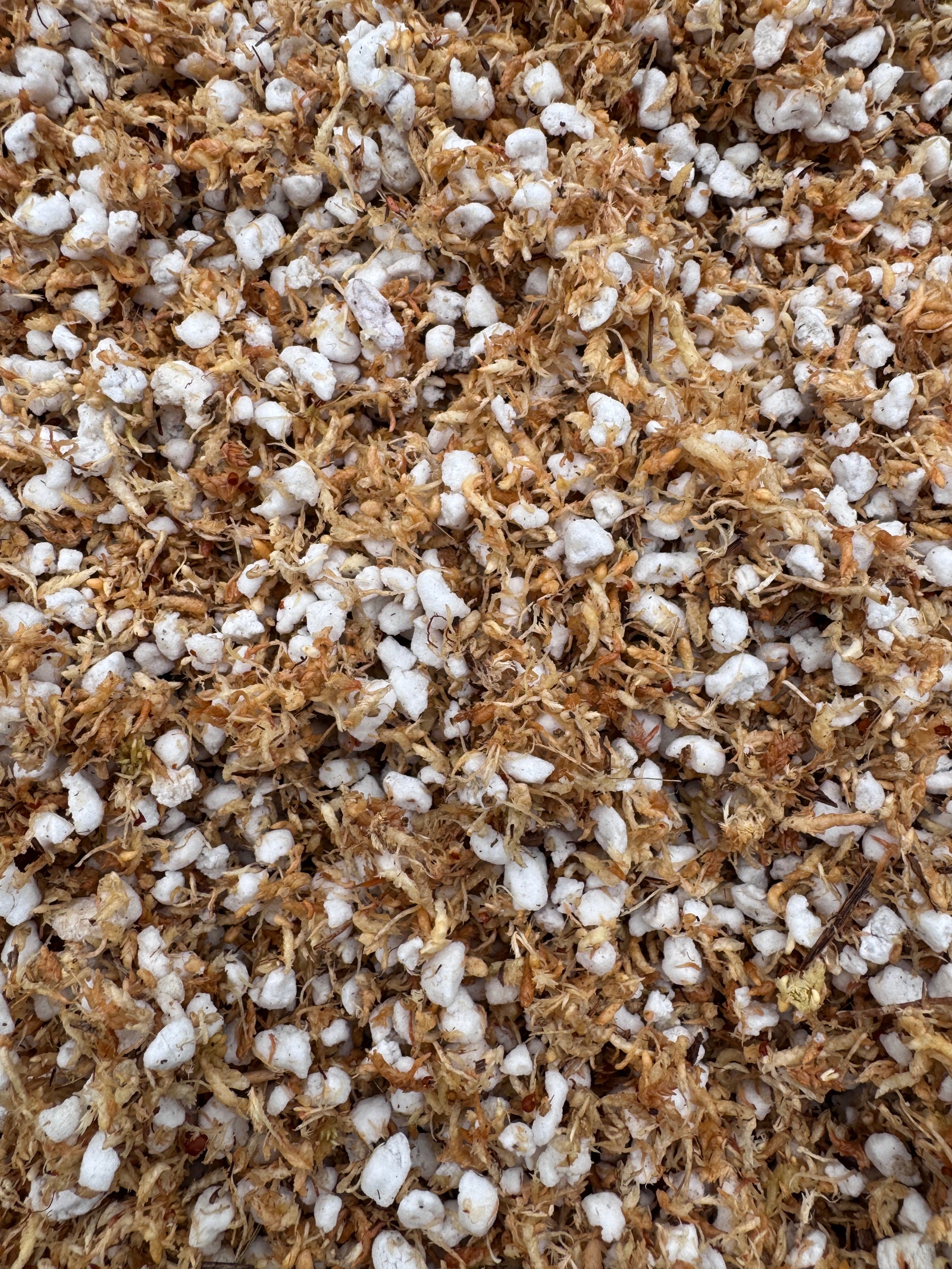 Orchid & Aroid Mix #5 - (Milled Sphagnum Moss & Double Graded Perlite #2)