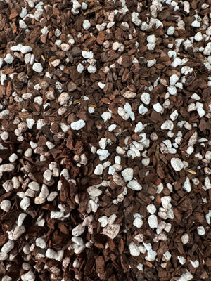 Orchid & Aroid Mix #1 - CUSTOMIZABLE - (Orchiata & Perlite) - Select Your Options