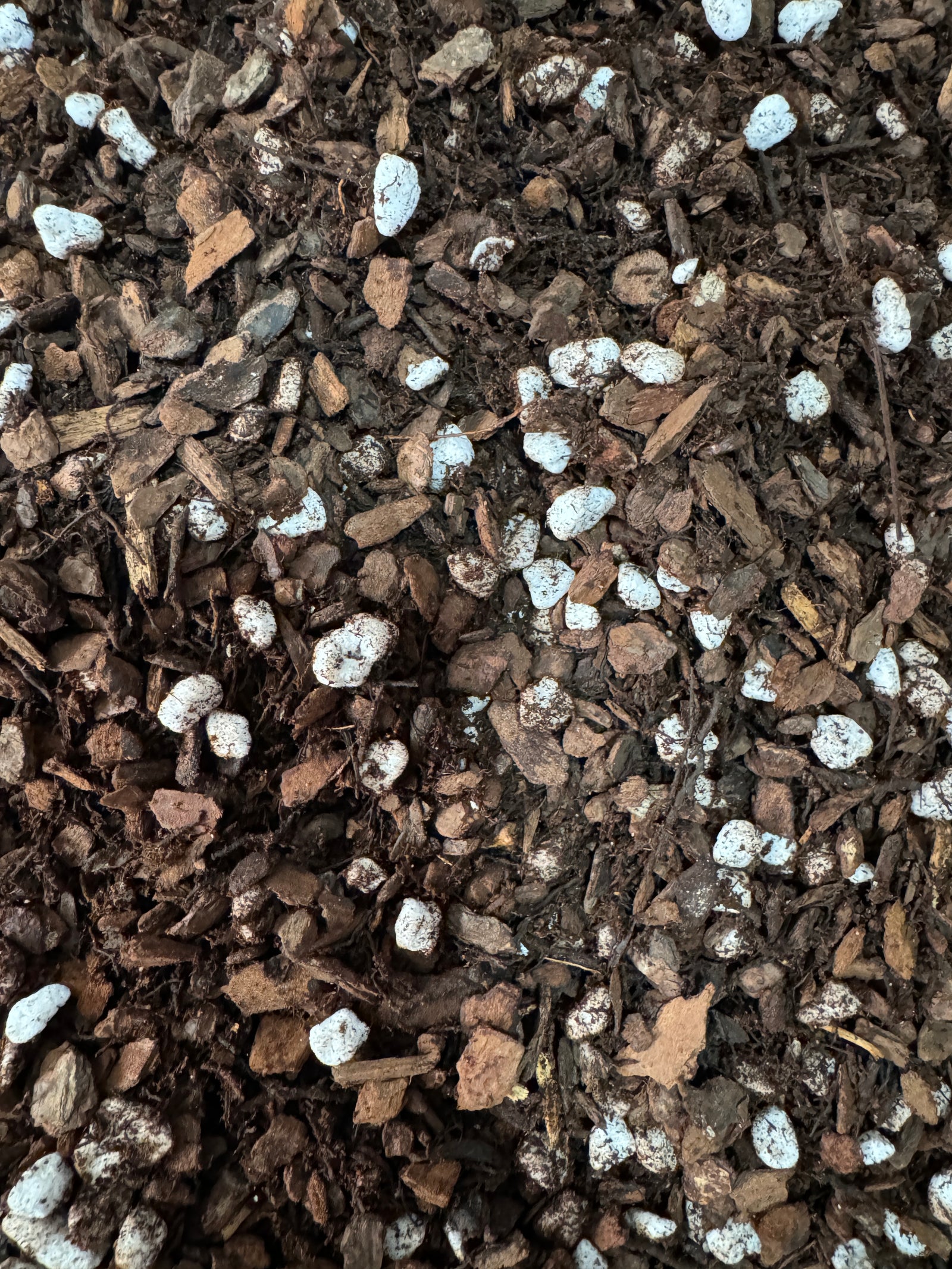 Orchid & Aroid Mix #2 - CUSTOMIZABLE - (Orchiata, Perlite and Tree Fern) - Select Your Options