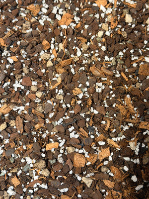 Hoya Potting Mix: The Perfect Balance of Air & Moisture for Hoyas, Epiphytic Plants. 100% Natural and Peat Free (Mix #60)