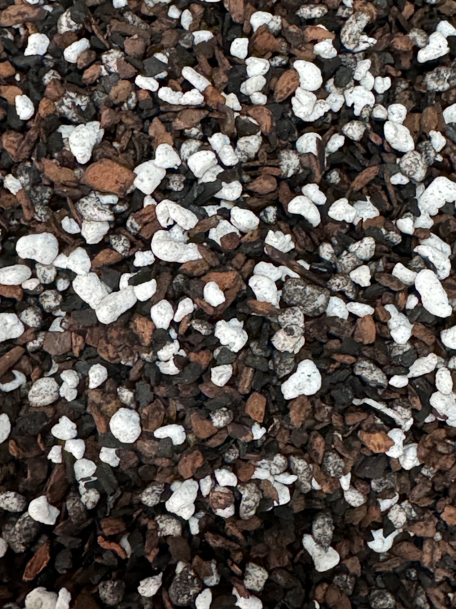 Seedling Mix for Orchids & Aroids - (Orchiata, Perlite, Charcoal) - LIMITED QUANTITIES