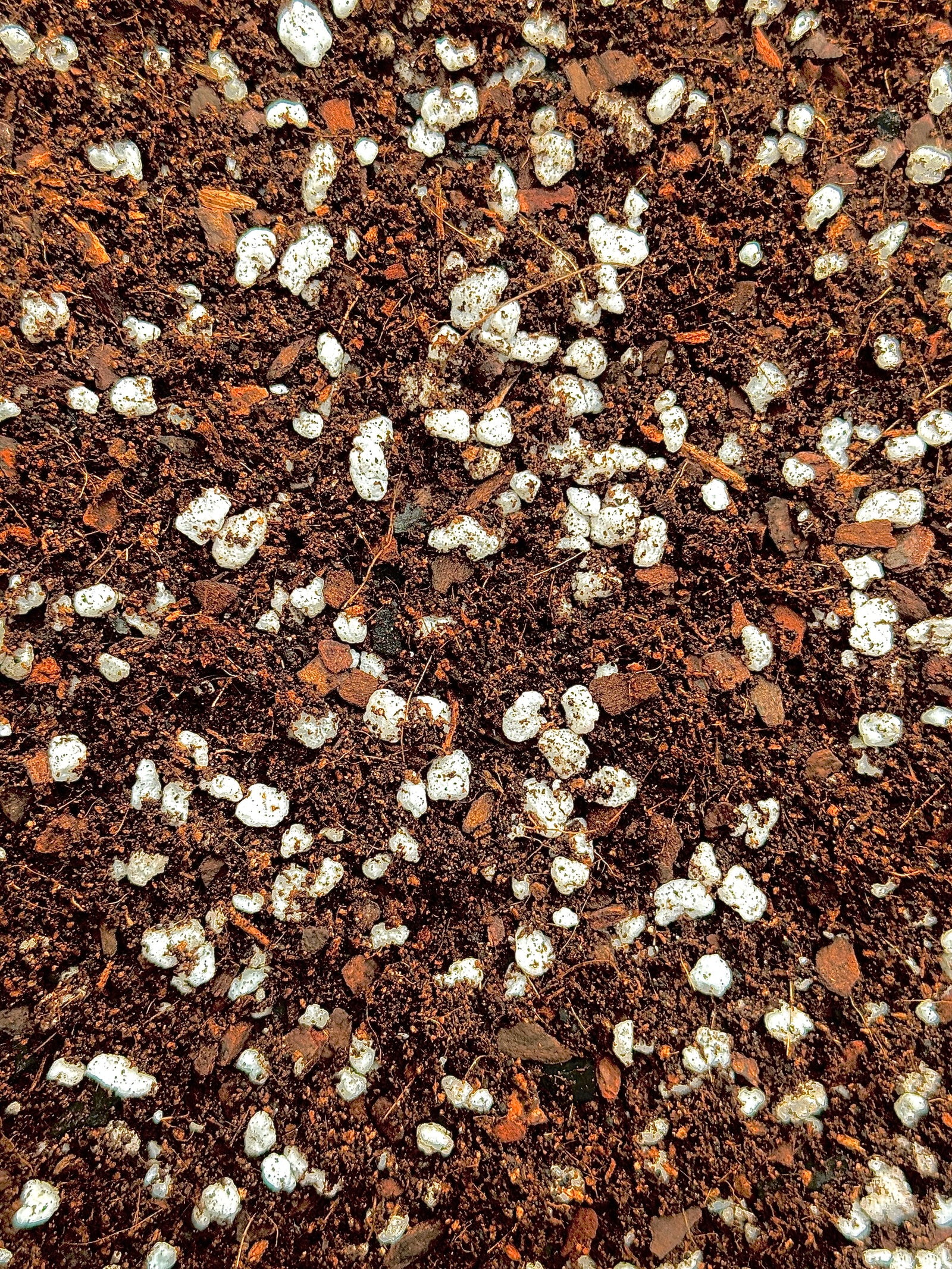 Houseplant Mix #2 (Tropicals) - (Coco Coir, Orchiata, Perlite, Worm Castings & Biochar) - moisture-retentive, peat-replacement terrestrial mix