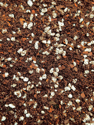 Houseplant Mix #2 (Tropicals) - (Coco Coir, Orchiata, Perlite, Worm Castings & Biochar) - moisture-retentive, peat-replacement terrestrial mix