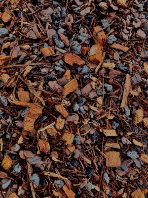 Tropical Chunky Mix #4 - (Tree Fern, Coco Husk, Orchiata, Lava Rock, Biochar, Charcoal, Worm Castings)