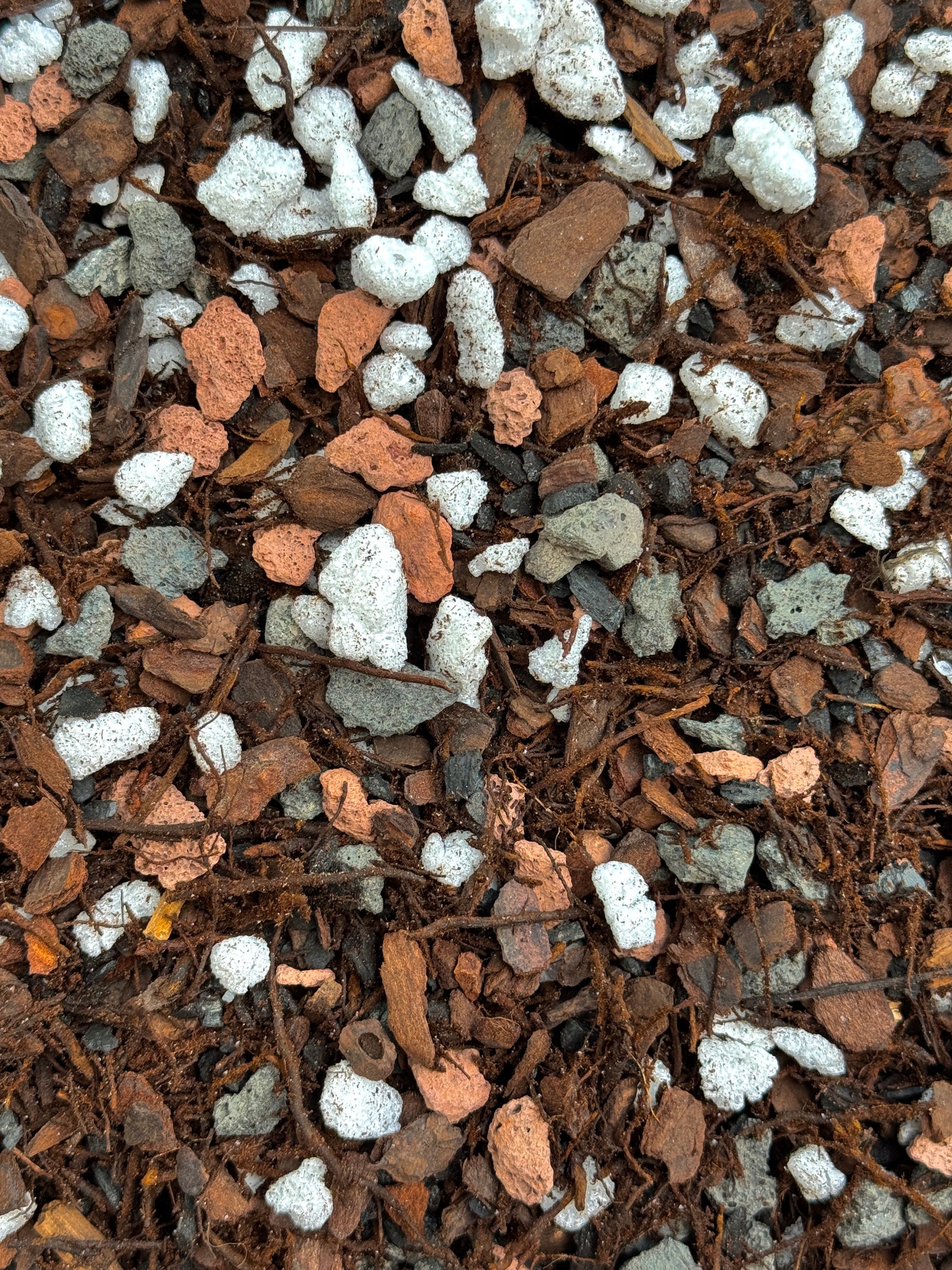 Tezula Pro Series Orchid & Aroid Mix #7 (Tree Fern, Orchiata, Perlite, Lava Rock, Biochar)