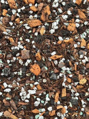 Tropical Aroid Mix #8 (Tree Fern, Coco Husk, Orchiata, Perlite, Charcoal, Worm Castings, Biochar)