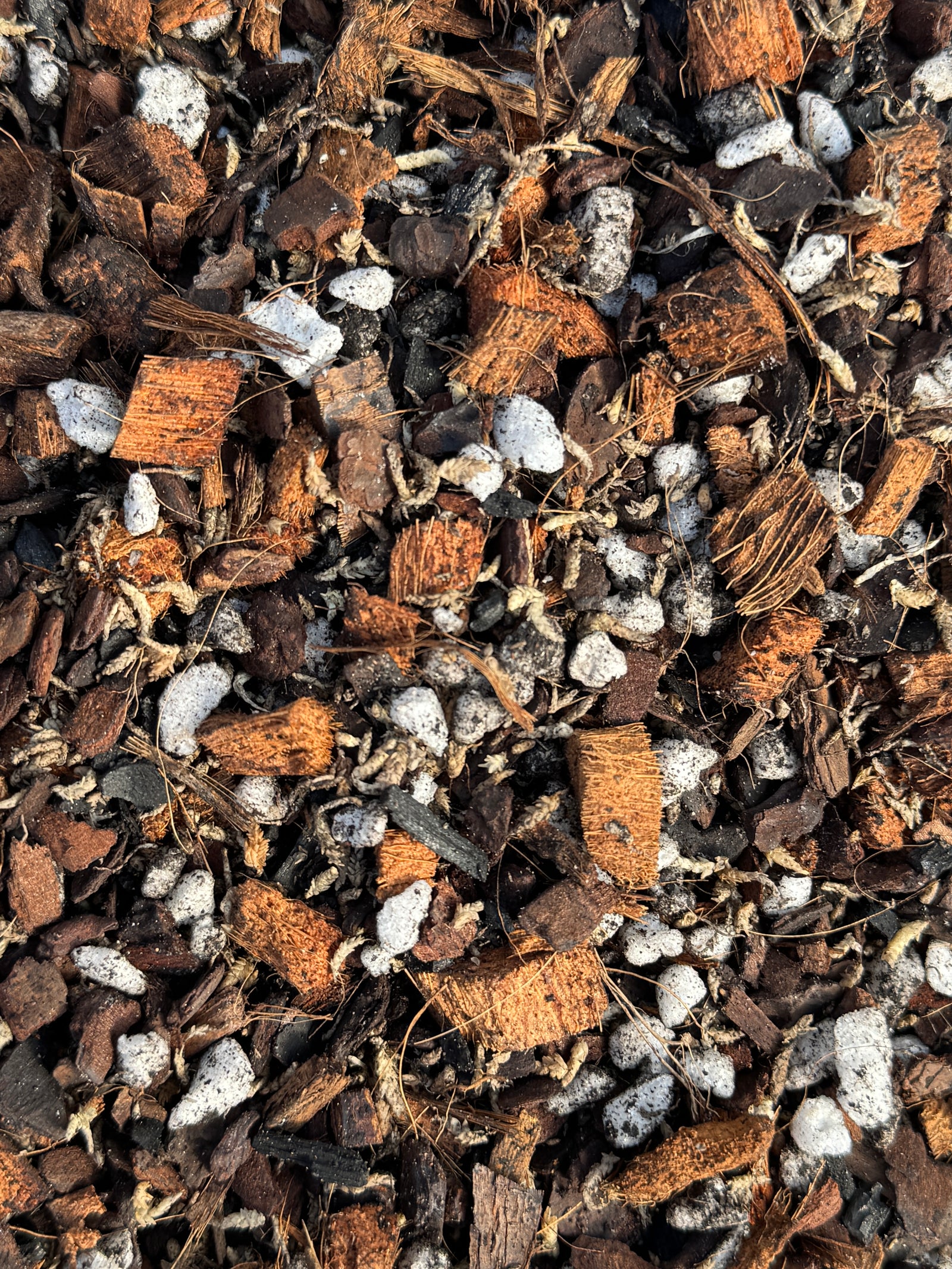Epiphytic Orchid Mix #1 - (Coco Husk, Orchiata, Moss Petals, Perlite & Biochar) - high-air, fast-draining, moisture-buffered epiphytic mix
