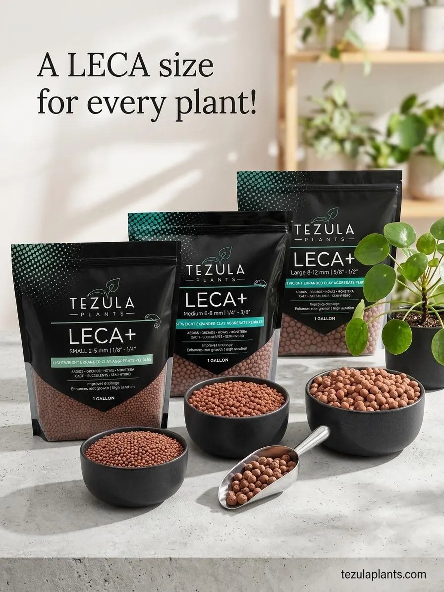 LECA+ Expanded Clay Pebbles | Semi Hydro, Hydroponics, Vivarium Drainage Layer, Soil Aeration, Terrarium, Propagation | 3 Sizes Available