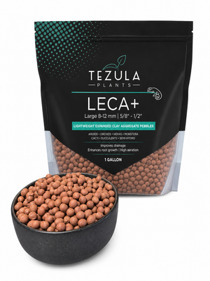 LECA+ Expanded Clay Pebbles | Semi Hydro, Hydroponics, Vivarium Drainage Layer, Soil Aeration, Terrarium, Propagation | 3 Sizes Available