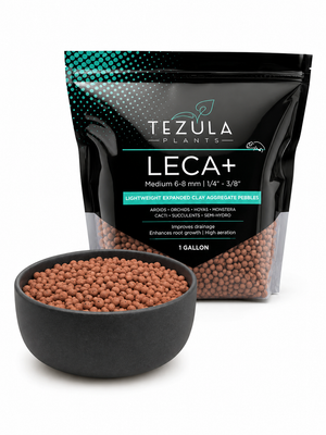 LECA+ Expanded Clay Pebbles | Semi Hydro, Hydroponics, Vivarium Drainage Layer, Soil Aeration, Terrarium, Propagation | 3 Sizes Available