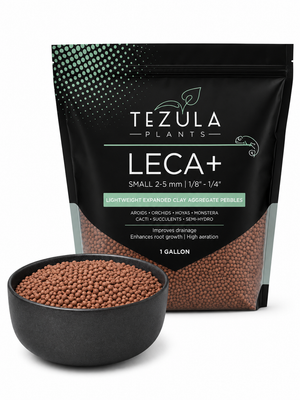 LECA+ Expanded Clay Pebbles | Semi Hydro, Hydroponics, Vivarium Drainage Layer, Soil Aeration, Terrarium, Propagation | 3 Sizes Available