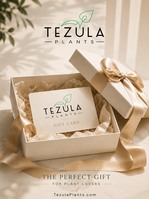 Tezula Plants Gift Cards