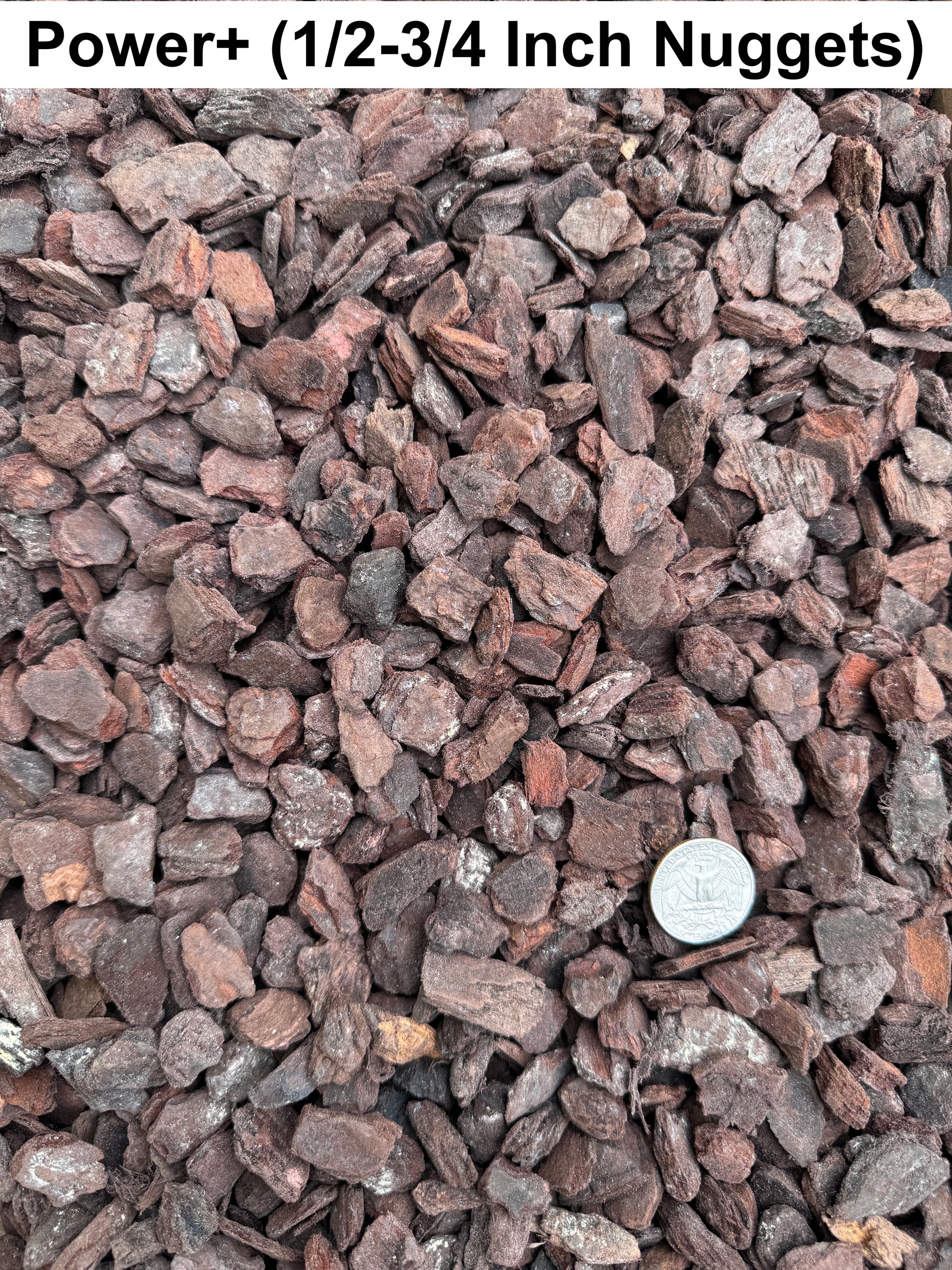 Orchiata_Power_7c4bf813-601f-