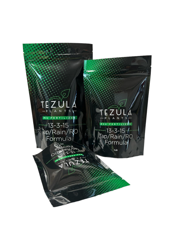 PhotoRoom_20230807_110042_600x