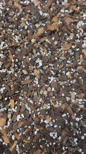 Hoya Potting Mix: The Perfect Balance of Air & Moisture for Hoyas, Epiphytic Plants. 100% Natural and Peat Free (Mix #60)