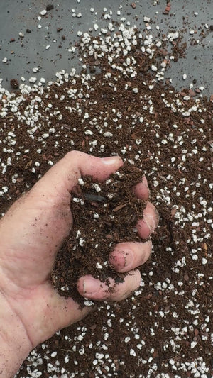 Houseplant Mix #2 (Tropicals) - (Coco Coir, Orchiata, Perlite, Worm Castings & Biochar) - moisture-retentive, peat-replacement terrestrial mix