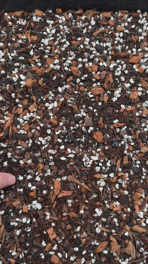 Tropical Aroid Mix #8 (Tree Fern, Coco Husk, Orchiata, Perlite, Charcoal, Worm Castings, Biochar)