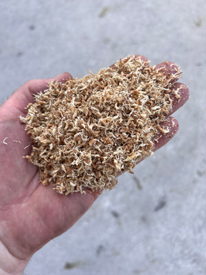 Premium New Zealand Sphagnum Moss Petals - 1 Gallon (+/- 85 grams)