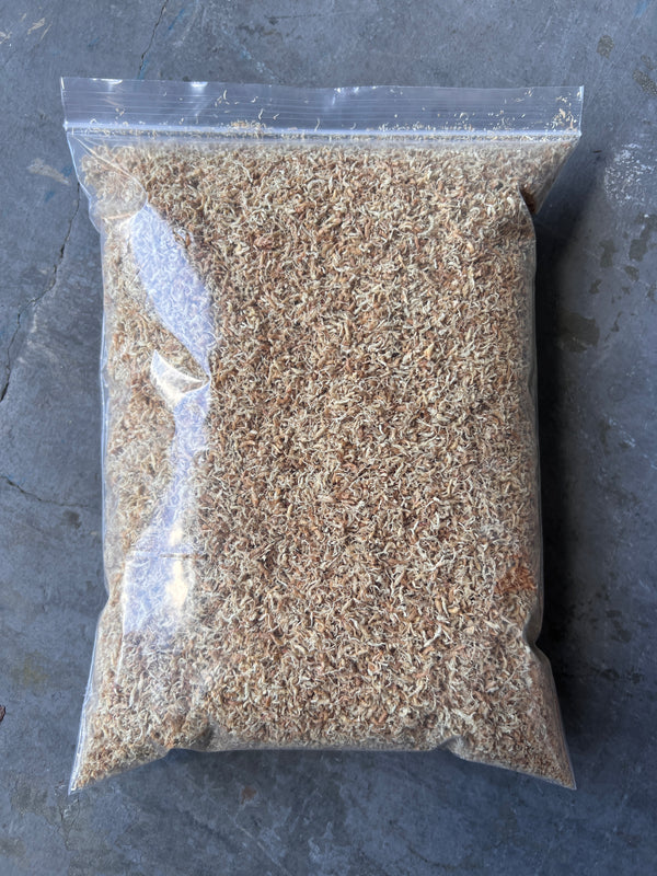 New Zealand Sphagnum Moss - Premium AAA+ 150grams – QuarterAcreOrchids