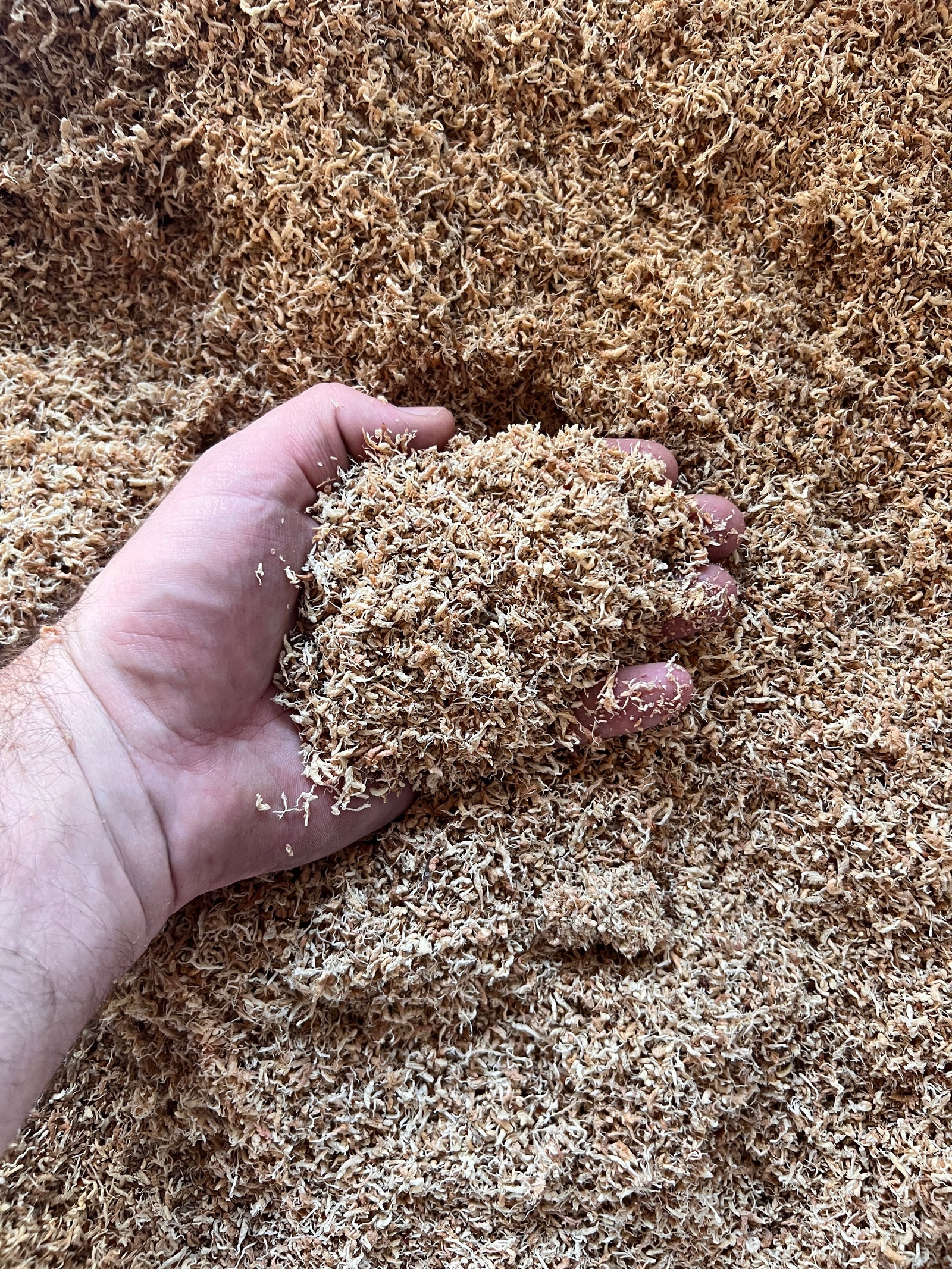 Premium New Zealand Sphagnum Moss Petals - 1 Gallon (+/- 85 grams)